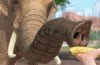 Sports games for Xbox One